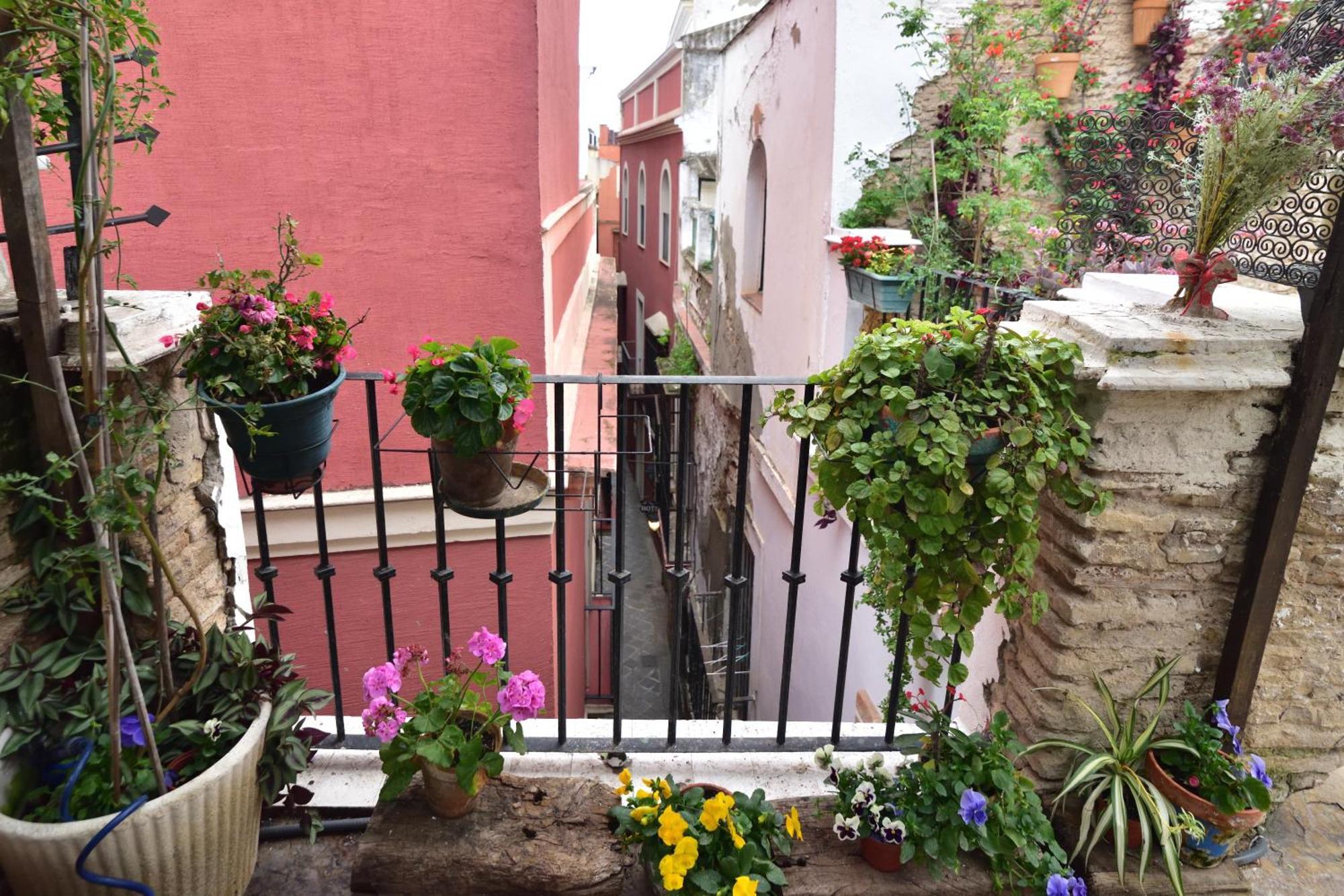 Suite Dona Ines Barrio Santacruz Севилья Экстерьер фото
